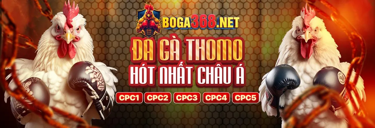 Sân đấu đá gà trực tuyến đầy kịch tính tại qu88